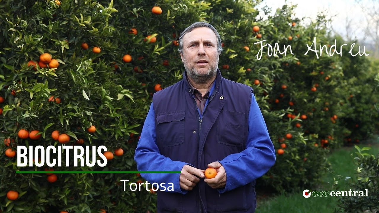 Els nostres prove&iuml;dors: BIOCITRUS