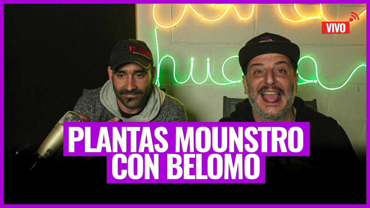 VIVO -  HAC&Eacute; TU SEMILLA POPIA - PLANTA MOUNTRUO -  MITOS DEL CULTIVO - CON BELOMO