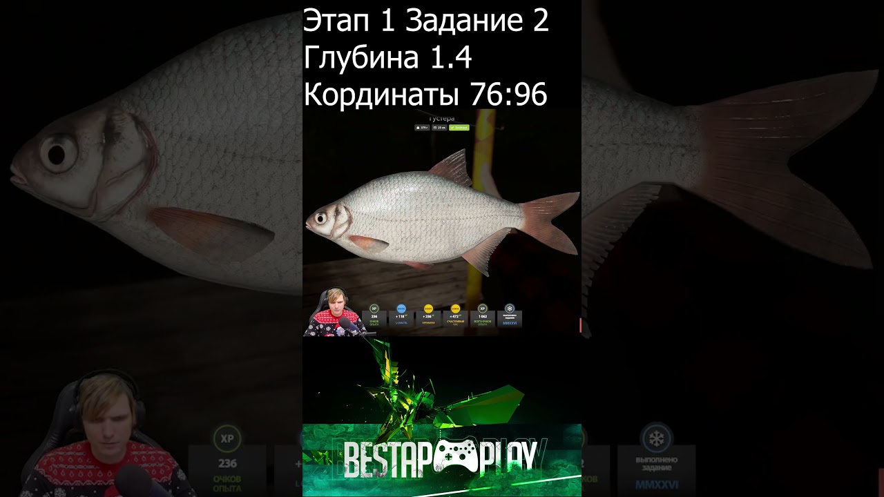 Новогодние задания: Этап 1 #russianfishing4 #новогодниезадания