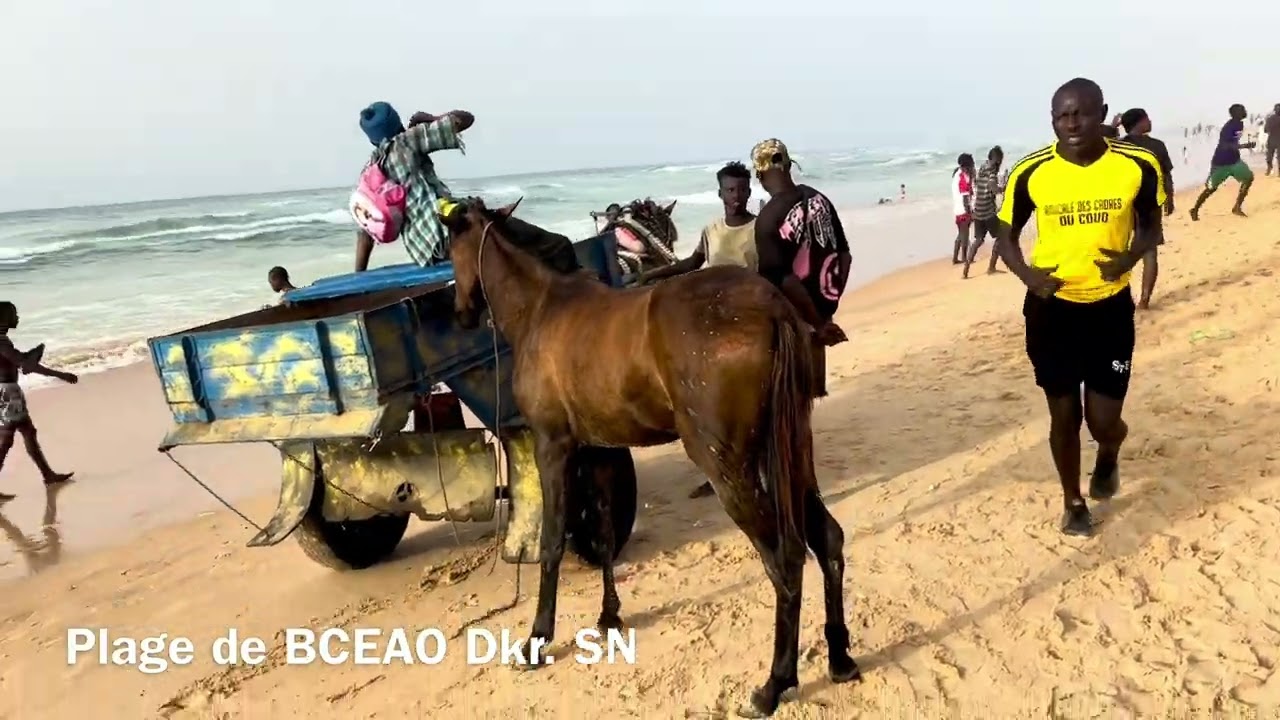 Exploration de la Plage de Bceao & de la Pointe de Almadies - Au début de l'été 2025, à Dkr.Sénégal.