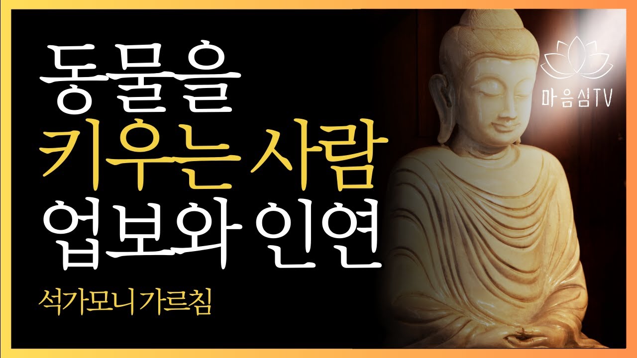 집에 동물을 키우는 사람의 전생의 업 | 부처님지혜 | 부처님말씀 | 석가모니 가르침 | 인생조언 | 불교철학 | 오디오북