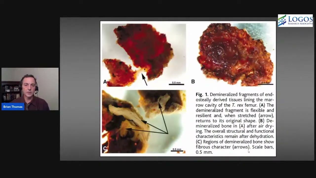 Fossil Proteins from Four Continents by Dr Brian Thomas, PhD Paleobiochemistry