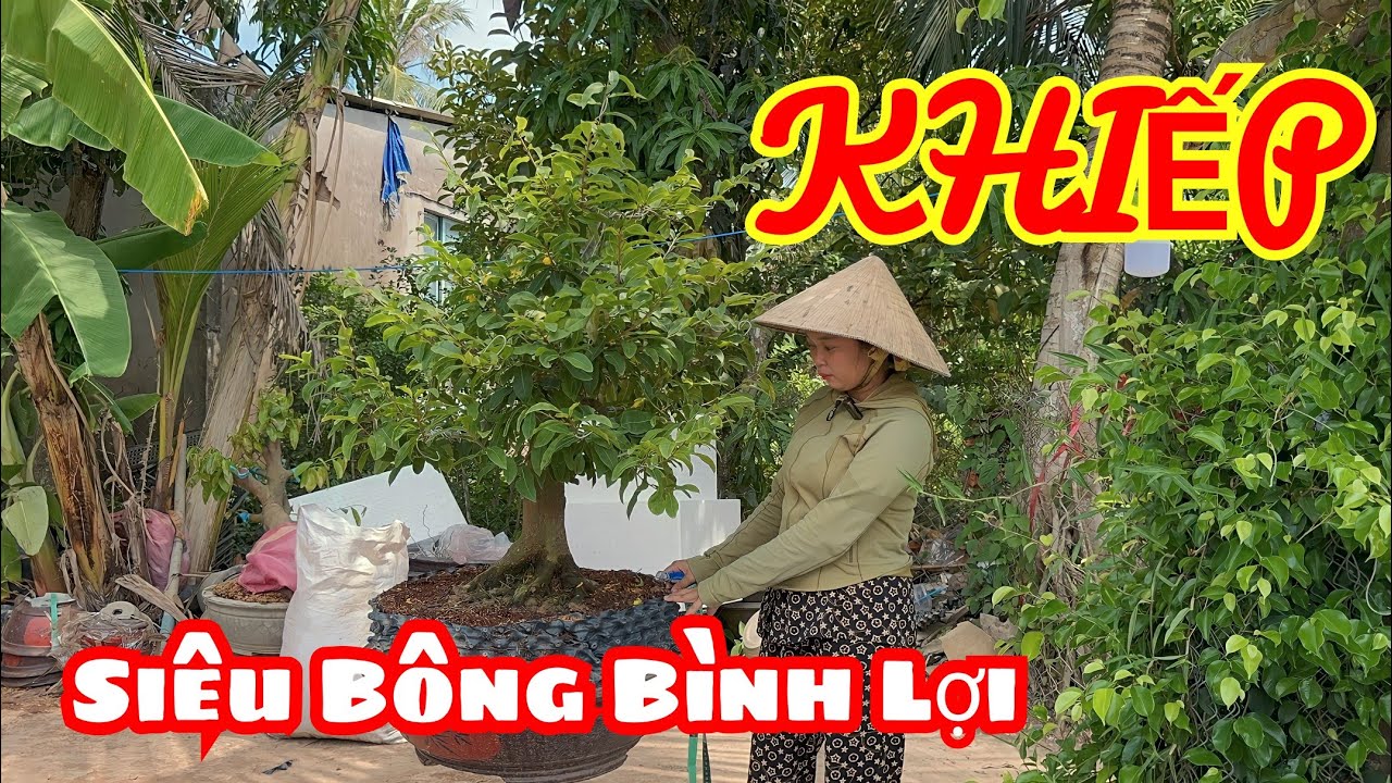 ☎️ 0971813457 gặp NGÂN - giao lưu siêu bông Bình Lợi hàng VIP