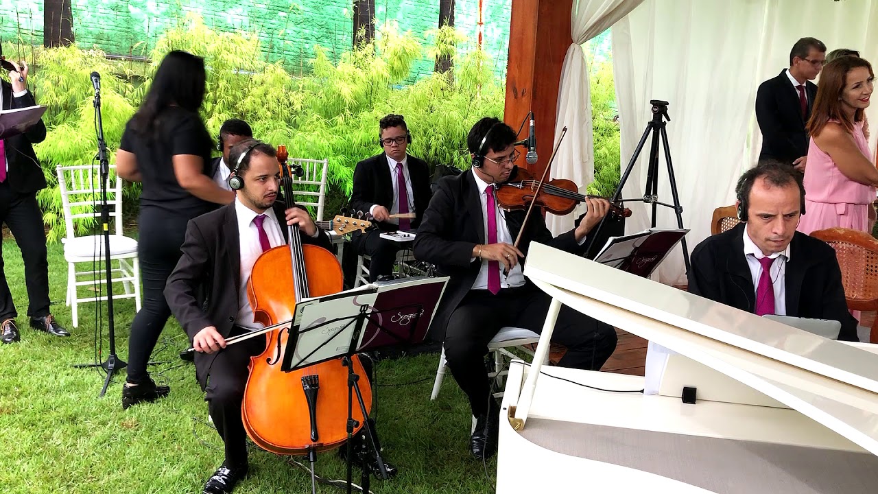 Quero Conhecer Jesus -  Instrumental - Violino - Musical Songsdei - Casamento