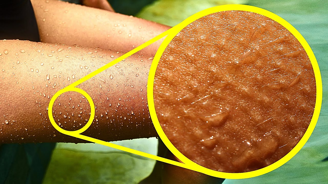 14 Cose Strane sul Corpo Umano