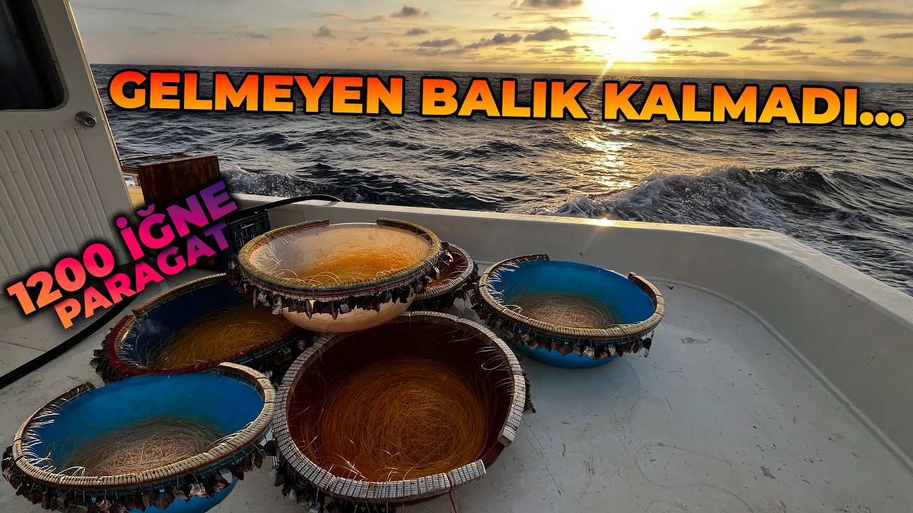 GELMEYEN BALIK KALMADI... | PARAGAT AVINDA YOK YOK !!!