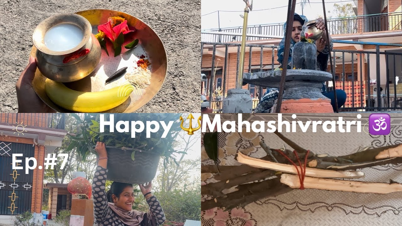 Ep.7 Mahashivratri 🔱🕉️ #30daysvlogchallenge #viral #trending #vlog #himachalpradesh 