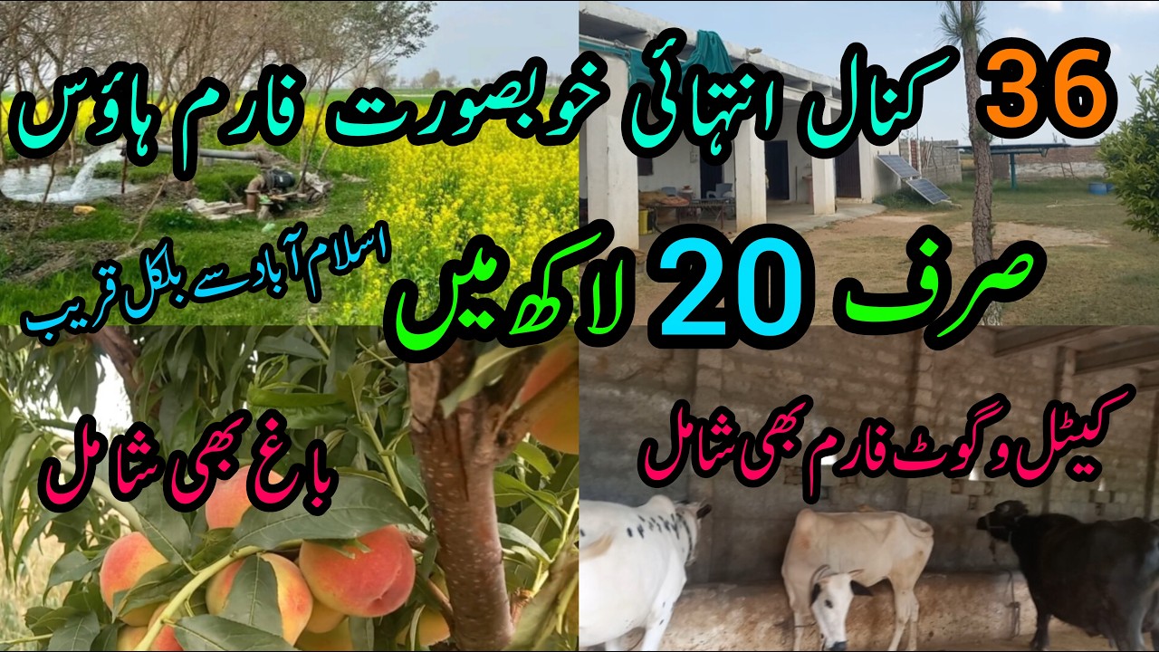 Farmhouse for sale | Sasta farmhouse | Farmhouse in Islamabad | Sasti zameen | Best location Farm |