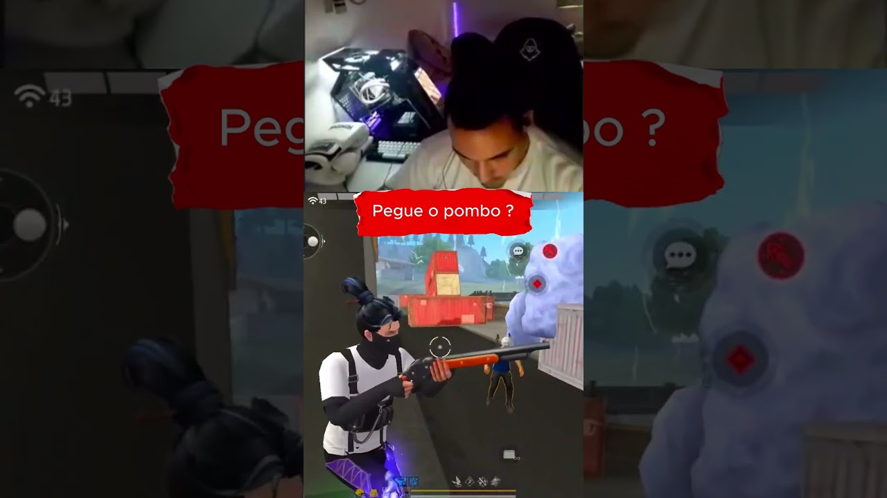 Segui nos aí lives todo dia 