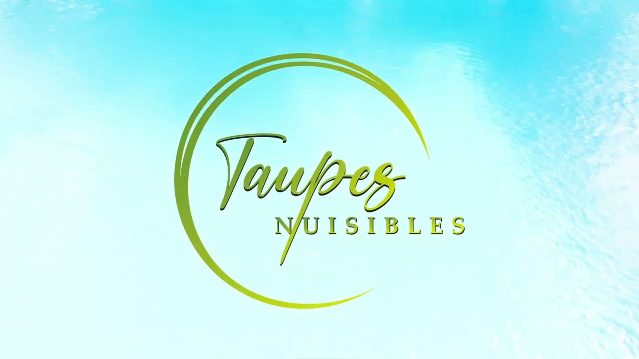 Comment lutter contre le Papillon tueur de palmiers ? : Solutions et traitements !