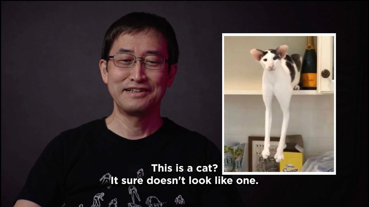 Junji Ito x Weird Cats  | The Liminal Zone, Vol. 2 Available Now | VIZ