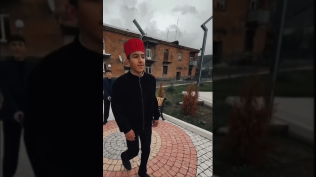 ՀԱՅ ՎՐԻԺԱՌՈՒ ՍՈՂՈՄՈՆ ԹԵՀԼԵՐՅԱՆ