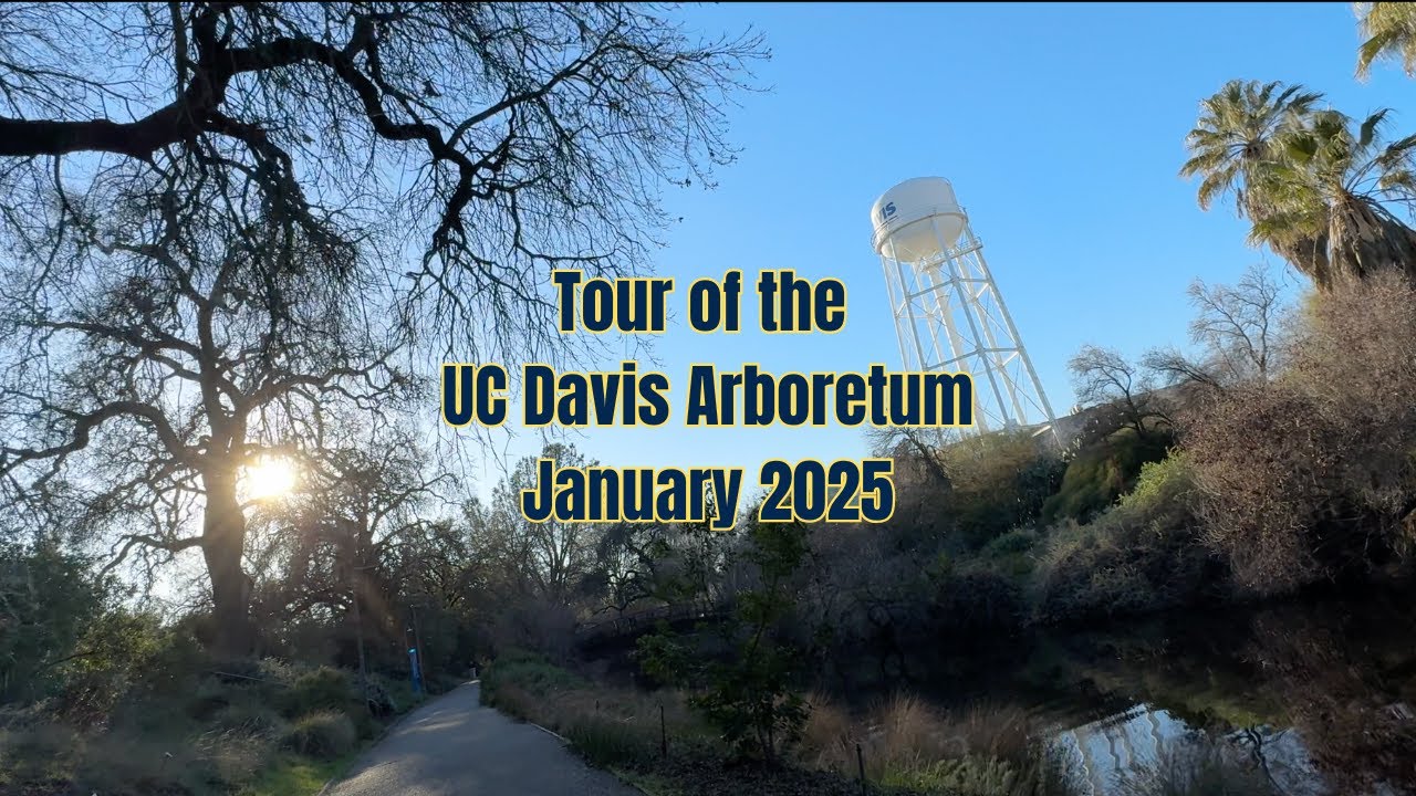 UC Davis Arboretum Tour - January 2025