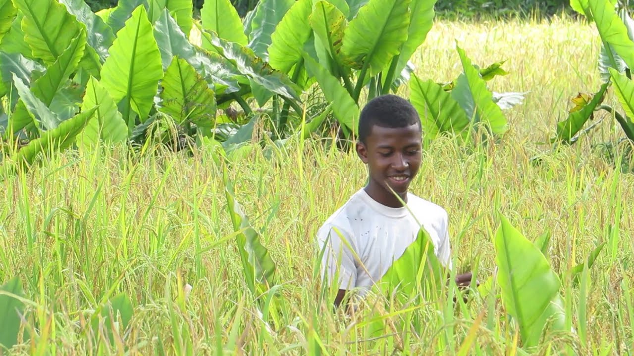 Peace Corps Madagascar: My Community