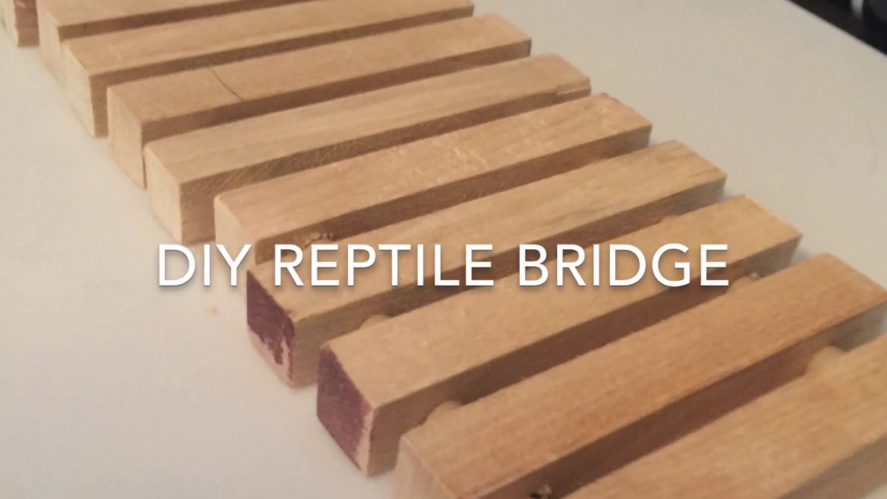 How to make a Reptile Bridge; DIY Reptile Bridge