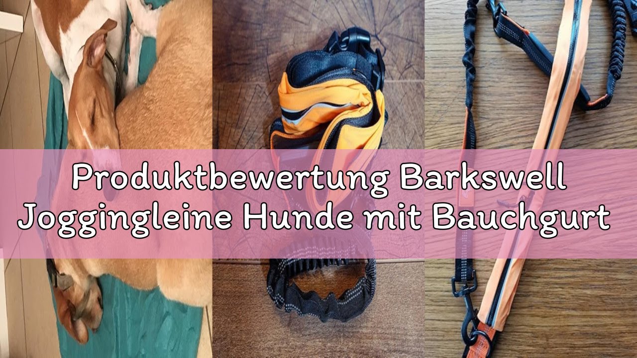 Produktbewertung Barkswell Joggingleine Hunde mit Bauchgurt zum Laufen, Joggen, Wandern - Bauchgurt