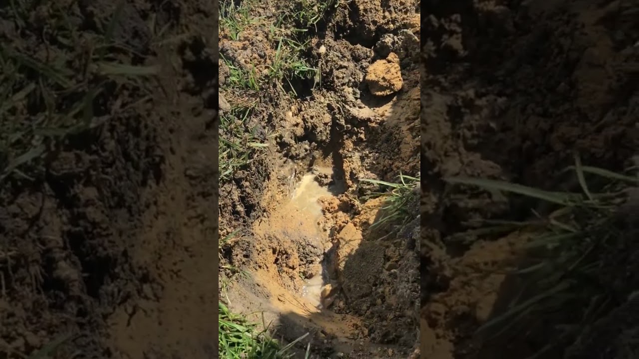 How To Prevent Water From Flooding Your Yard