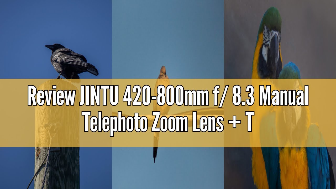 Review JINTU 420-800mm f/ 8.3 Manual Telephoto Zoom Lens + T-Mount for Canon EOS Rebel SL2 SL1 T3 T3