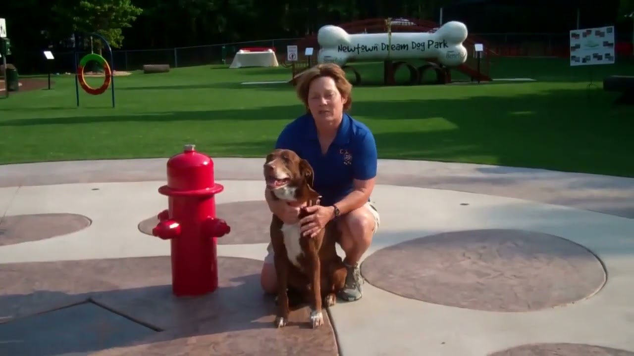 Pet Expet Arden Moore Supports H20 Fido's Splash Pads