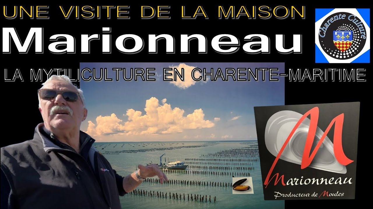 Mytiliculture en Charente-Maritime: visite de l'entreprise Marionneau &agrave; Esnandes octobre 2024