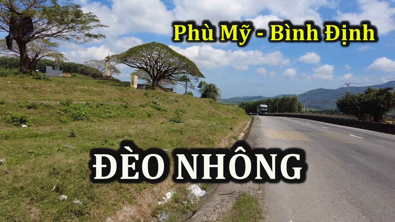 Chiến trận Đèo Nhông-Dương Liễu năm 1965 ở Bình Định.