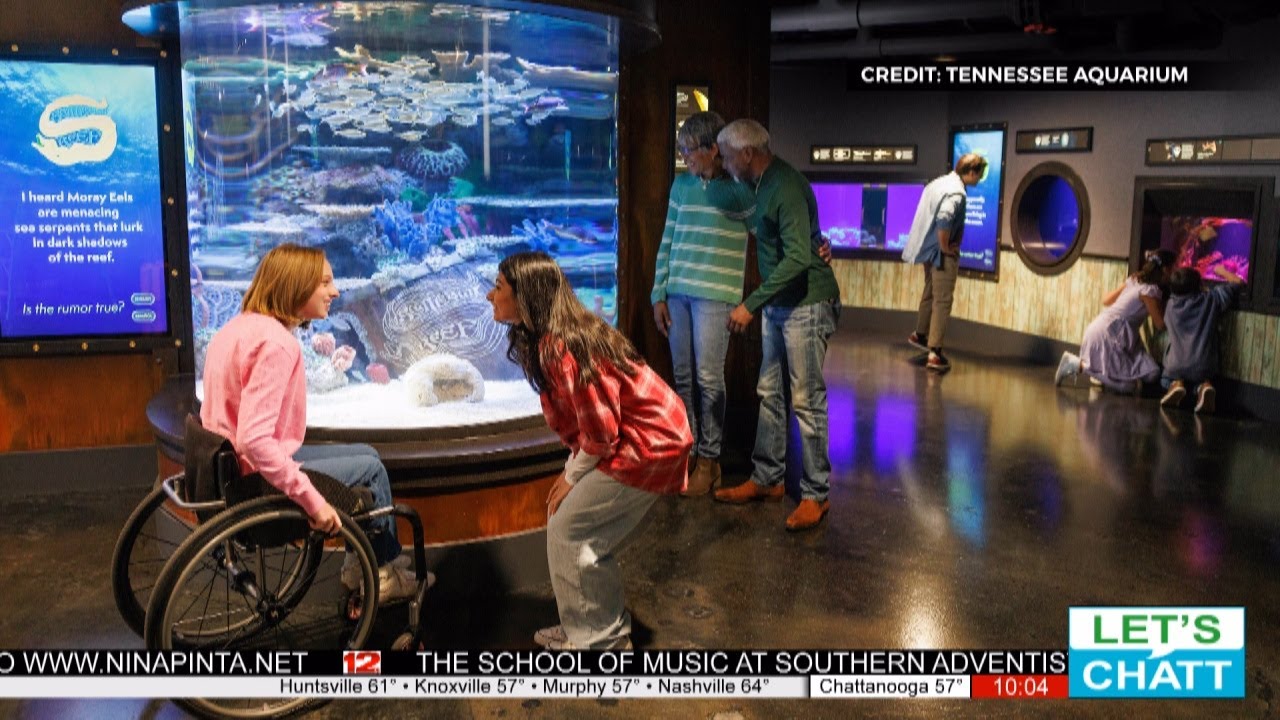 Tennessee Aquarium - Scuttlebutt Reef