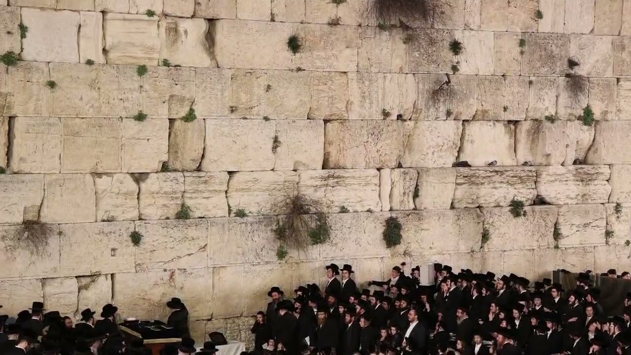 האדמו