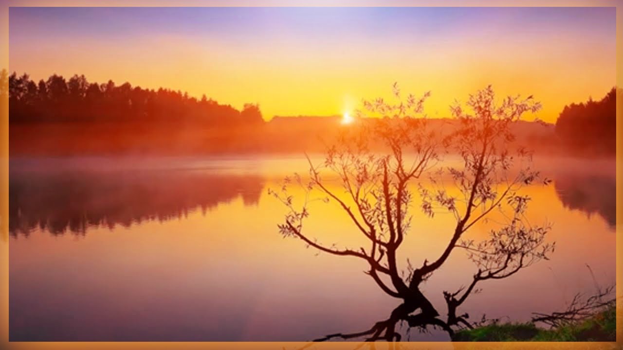 Self Improvement, Calm and Soothing music, Calm Nature Healing Sleep Music★6