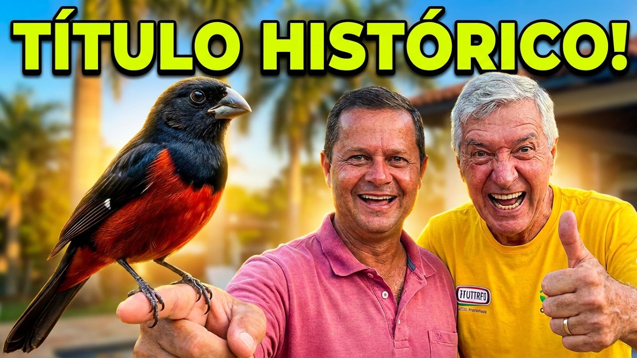 O Brilho do CURIÓ Perfil TORNEIO DOS CAMPEÕES, PARDO SEM REPETIÇÃO o CURIÓ Perfil e Título Histórico