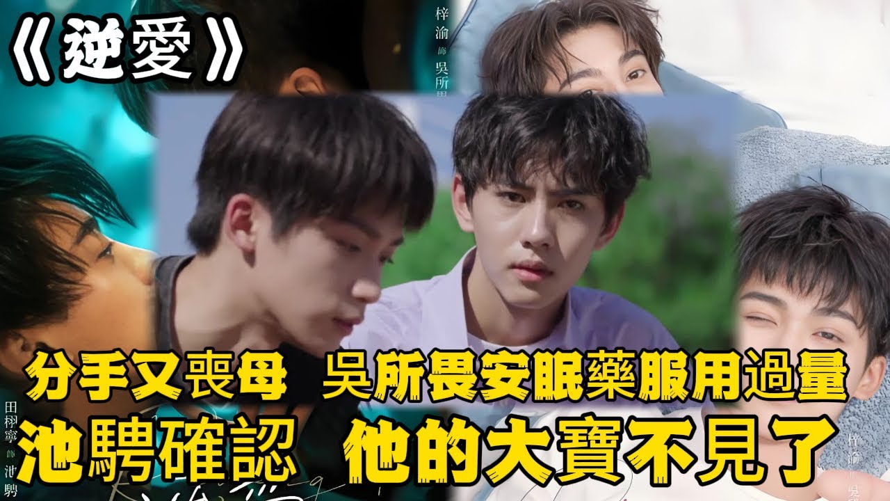 《逆愛》：劇情搶先看，分手又喪母，吳所畏安眠藥服用過量。三天沒有出門了。池騁確認，他的大寶不見了。田栩宁 #梓渝 #吴所畏 #池骋 #逆爱 #Revenged Love