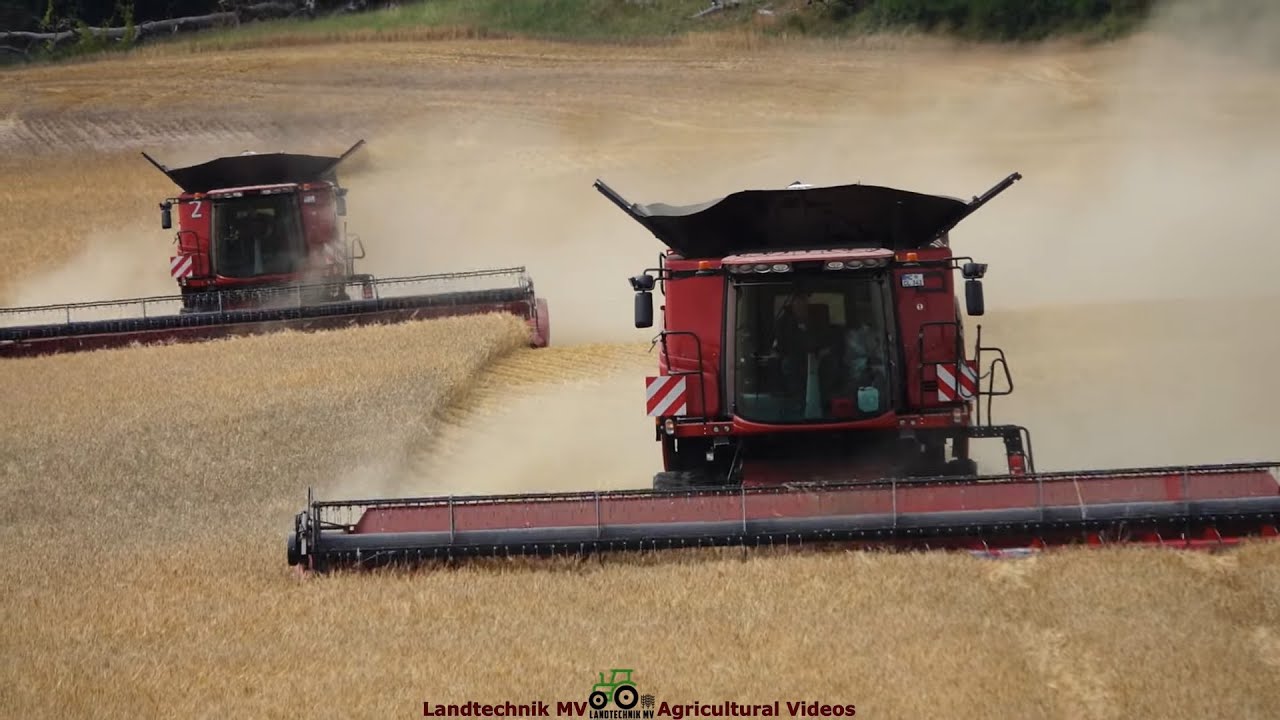 Case - John Deere / Getreideernte - Grain Harvest