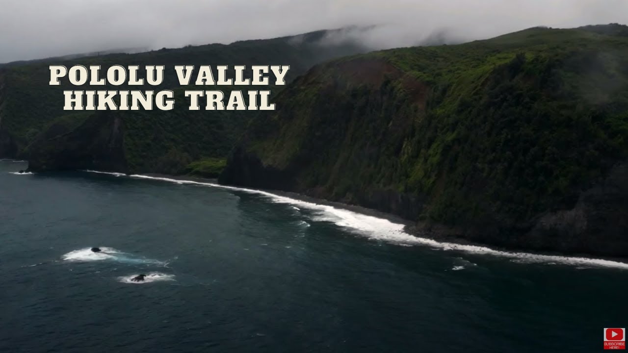 Pololu Valley Hike  On The Big Island Hawaii with a dog from Humane Society