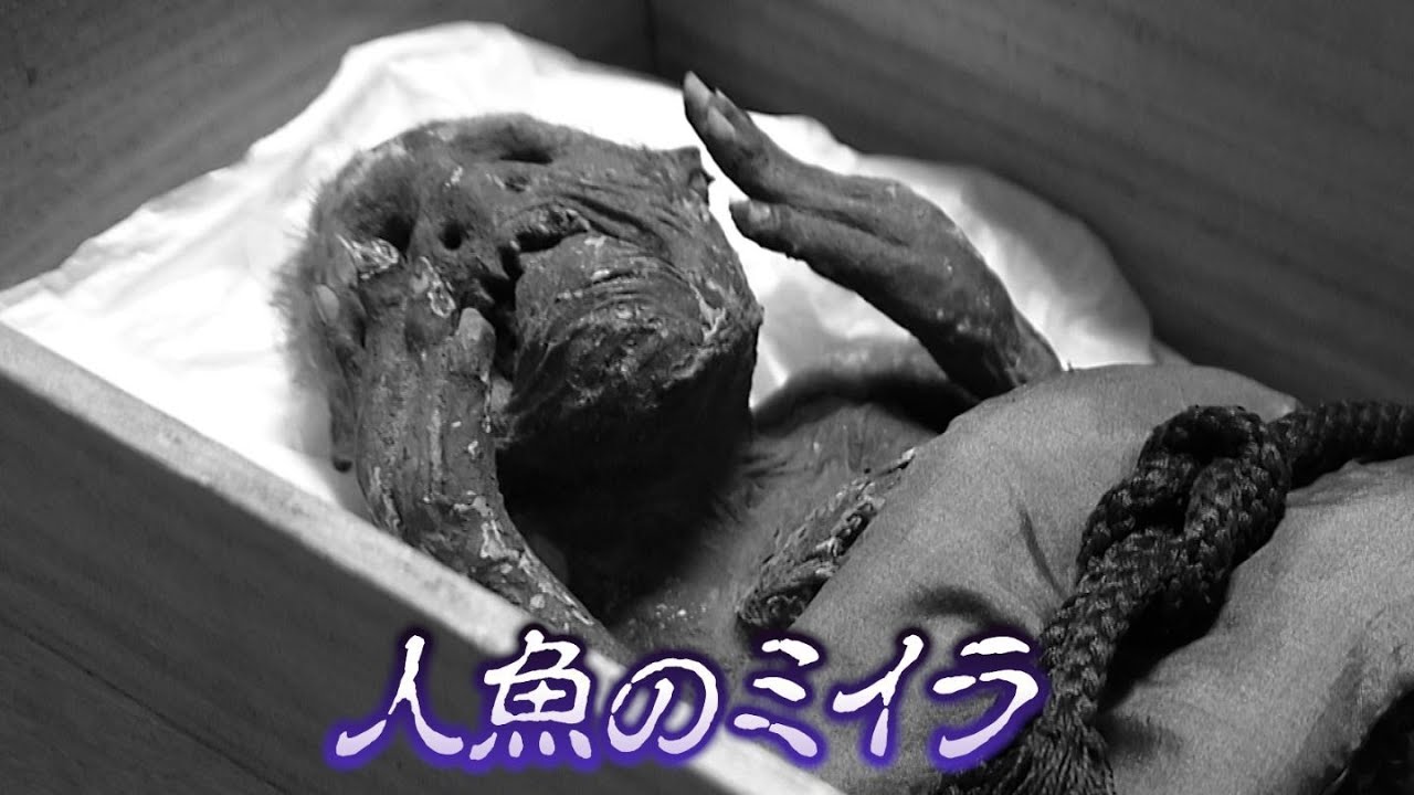 寺に眠る “人魚のミイラ” 解明プロジェクト ついに最先端技術が謎を解き明かした その正体は【岡山】
