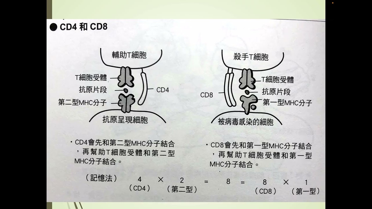 110-02 免疫學特論- MHC