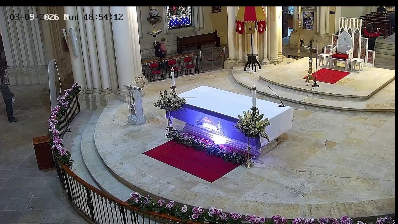 Transmisión Eucaristía Basílica de Lourdes   2026