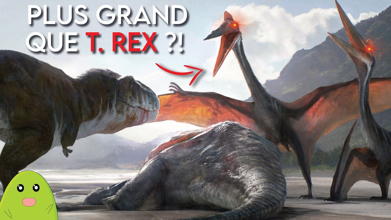 Quetzalcoatlus | Le plus GRAND reptile volant ayant jamais existé !