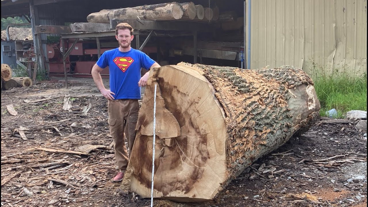 Sawing the Biggest Log I Can!! What Can the Mill Handle? 2/3