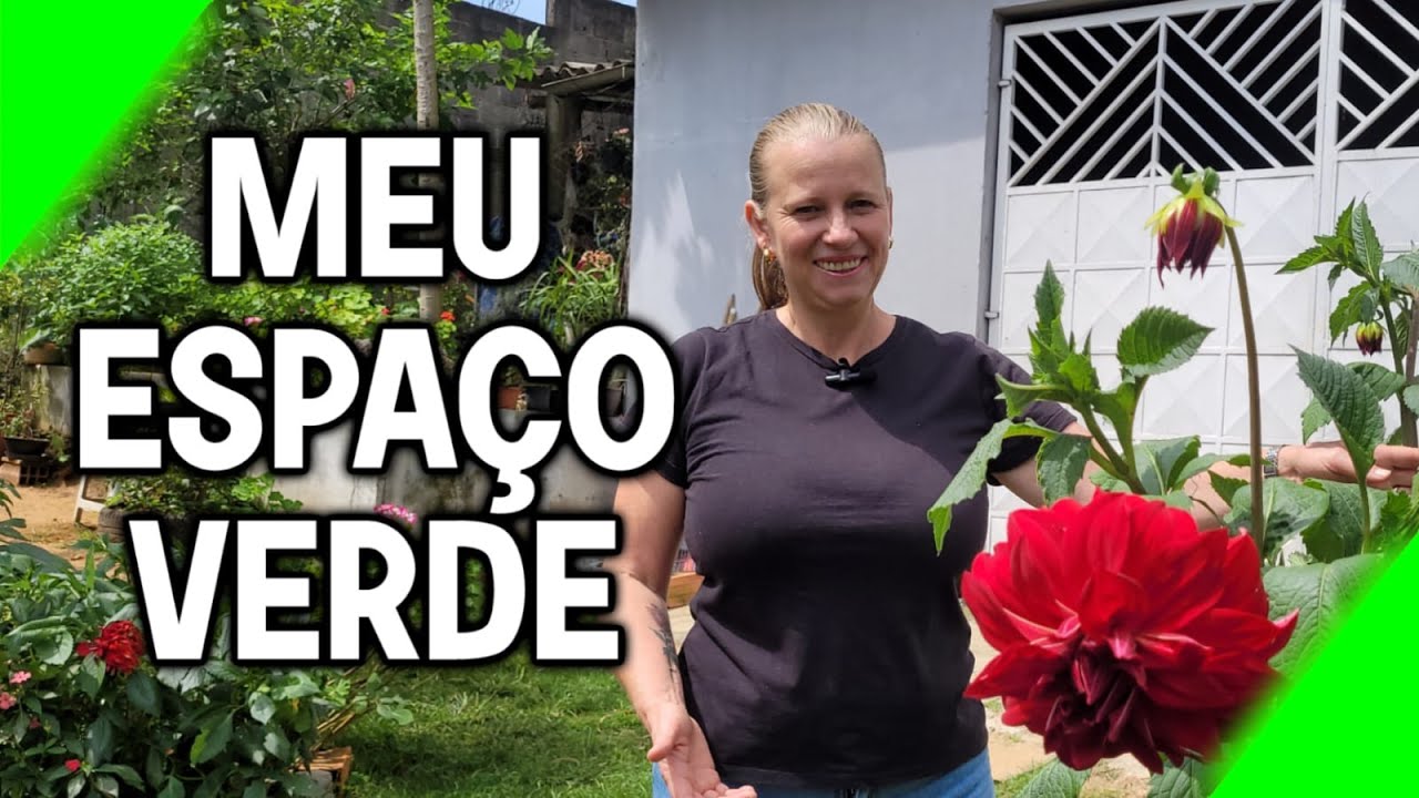 CONSTRUINDO MEU ESPAÇO VERDE, MEU PARAÍSO NA CIDADE COMO ESTA MINHA HORTA EM VASOS HOJE