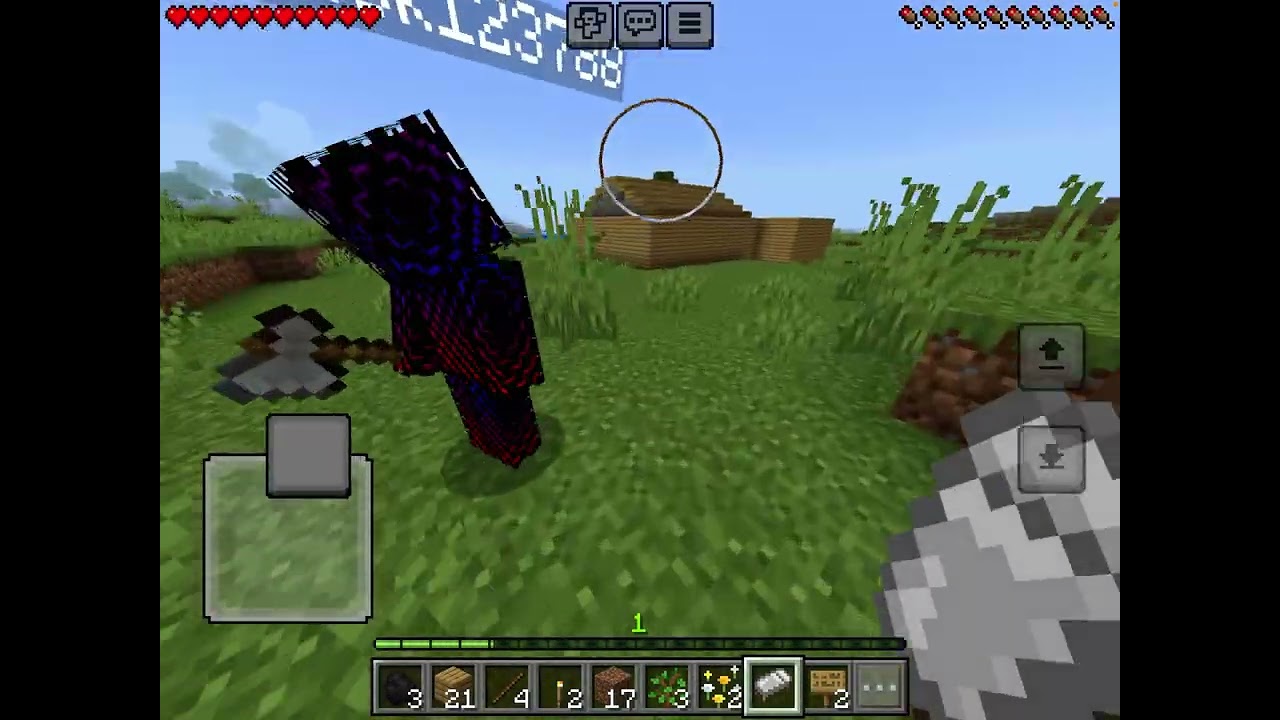 Minecraft world play with friend