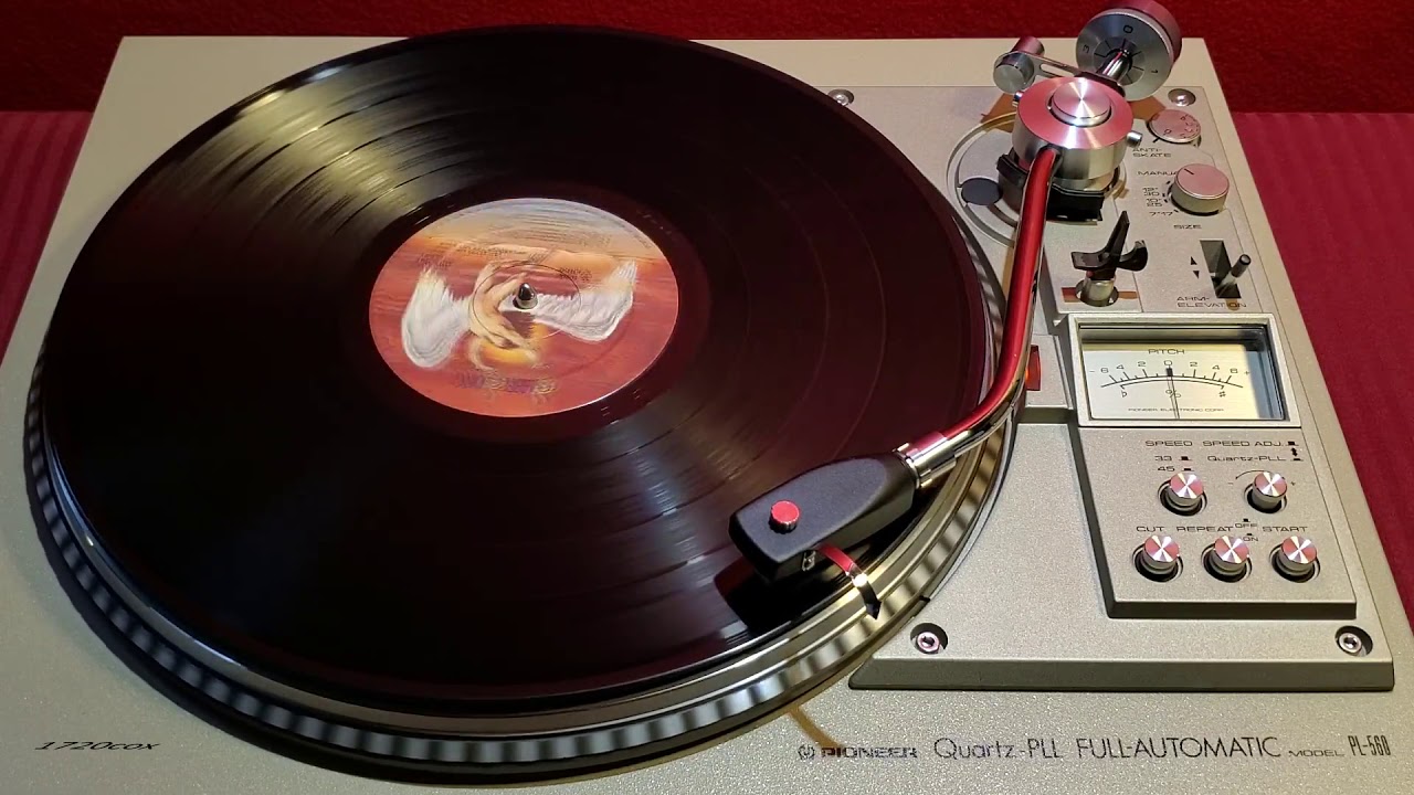 Led Zeppelin - In The Evening [Vinyl]