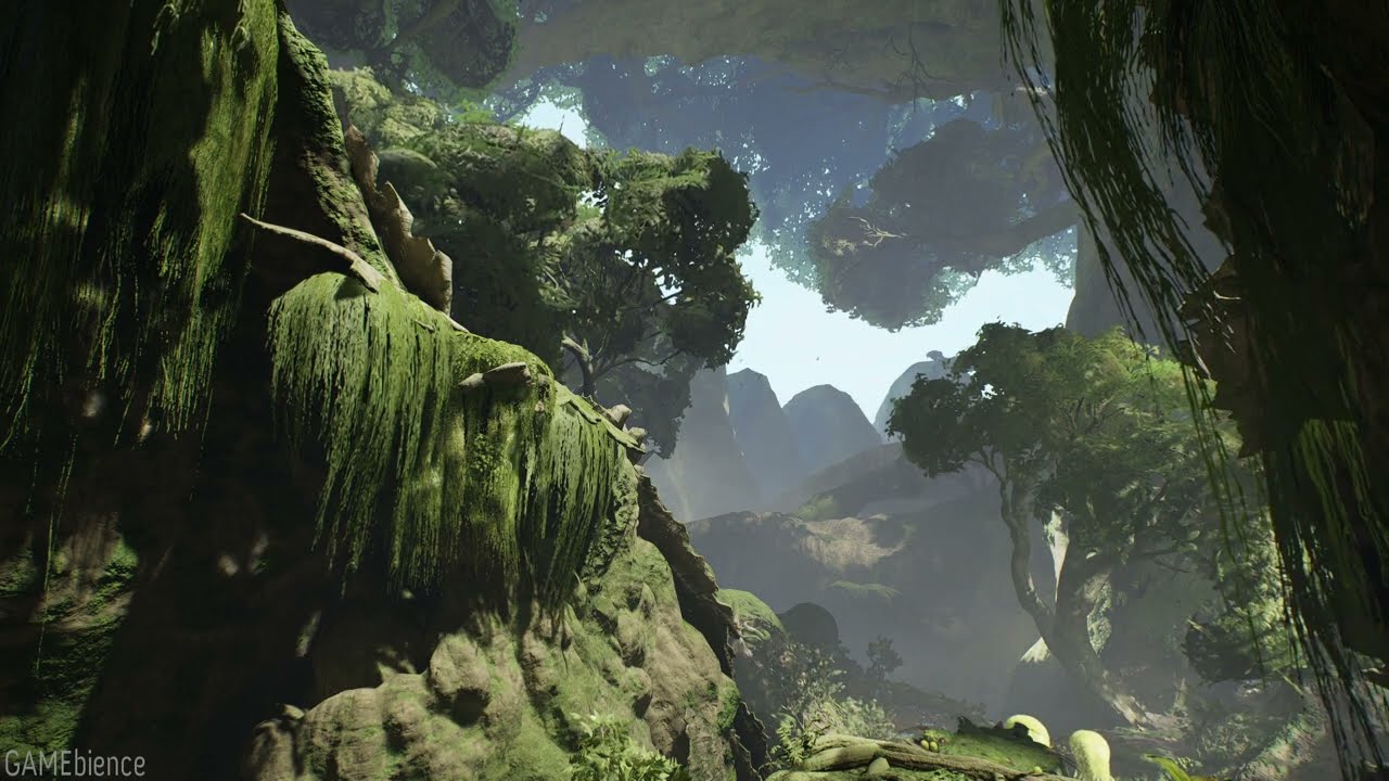 3 Hour - Star Wars Jedi: Fallen Order - Kashyyyk Forest Ambience