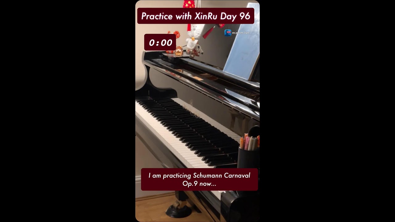 preparing for my concert in 3 days!! | Practice with XinRu Day 96