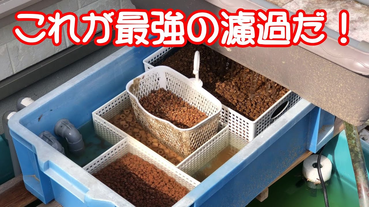 【めだか】最強の濾過システムを作る！ドライ濾過・ウエット濾過・ウエット＆ドライ全部載せ！
