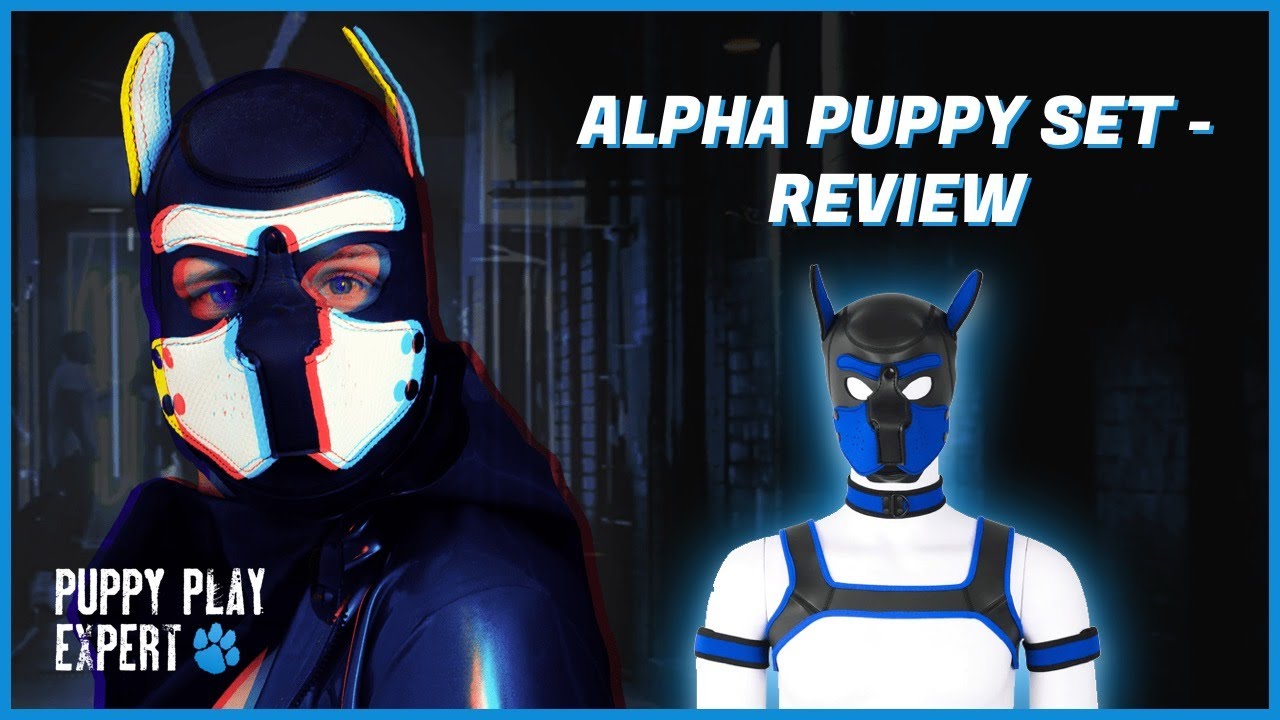 Puppy Play Expert: Alpha Puppy Set - Review