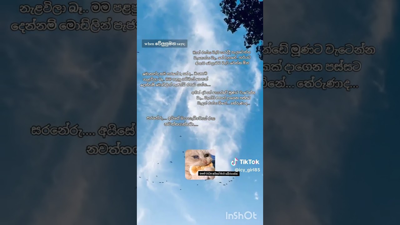Saraneru 😅 #sepalika  #wattpad
