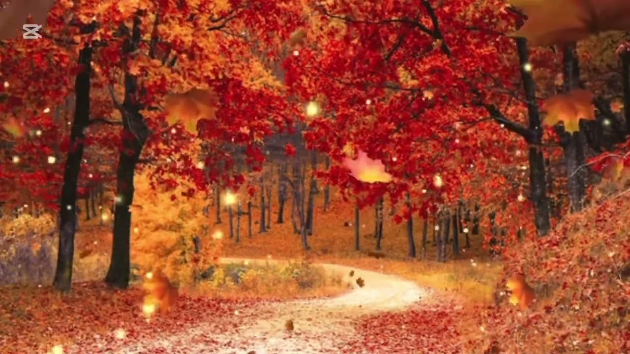 ՍիրՀար-ՆարնջՅԱ🍂🍁