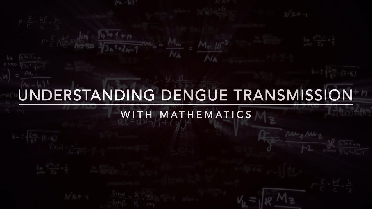 Understanding Dengue Transmission with Mathematics