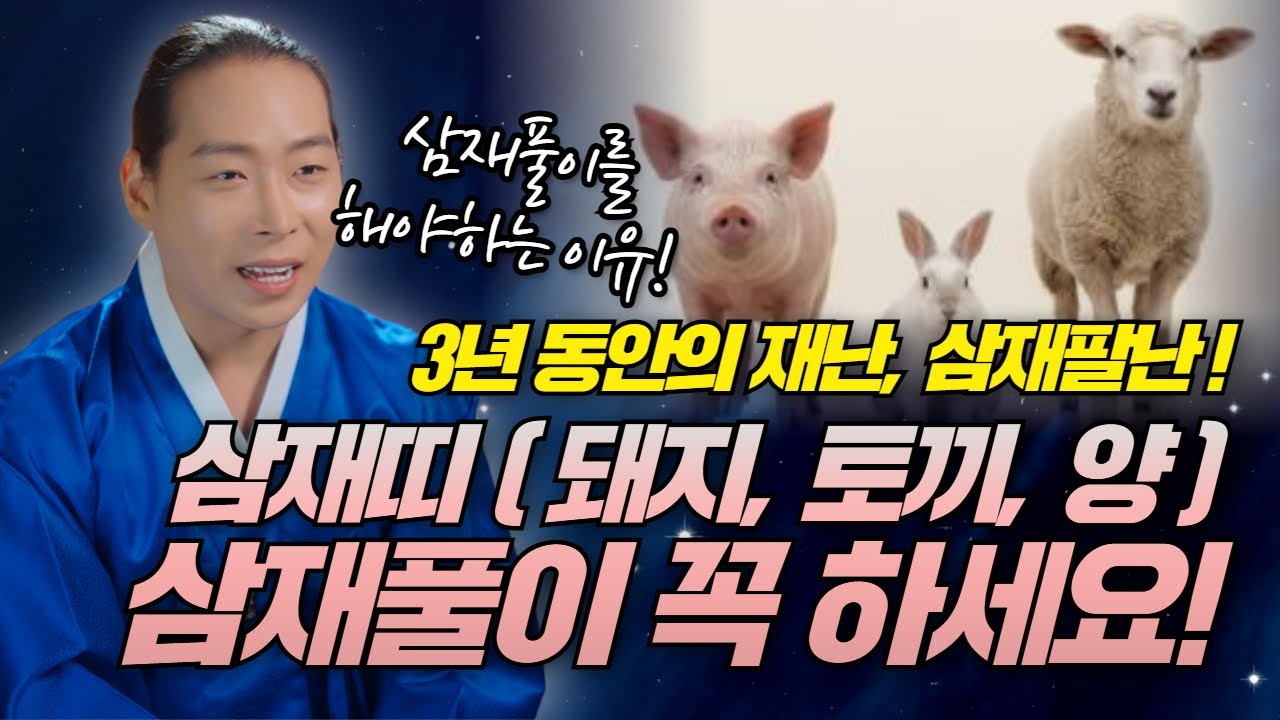삼재띠 분들 (돼지띠, 토끼띠, 양띠) 3년동안 재난! 삼재팔난을 타파하는 삼재풀이 꼭 하세요!