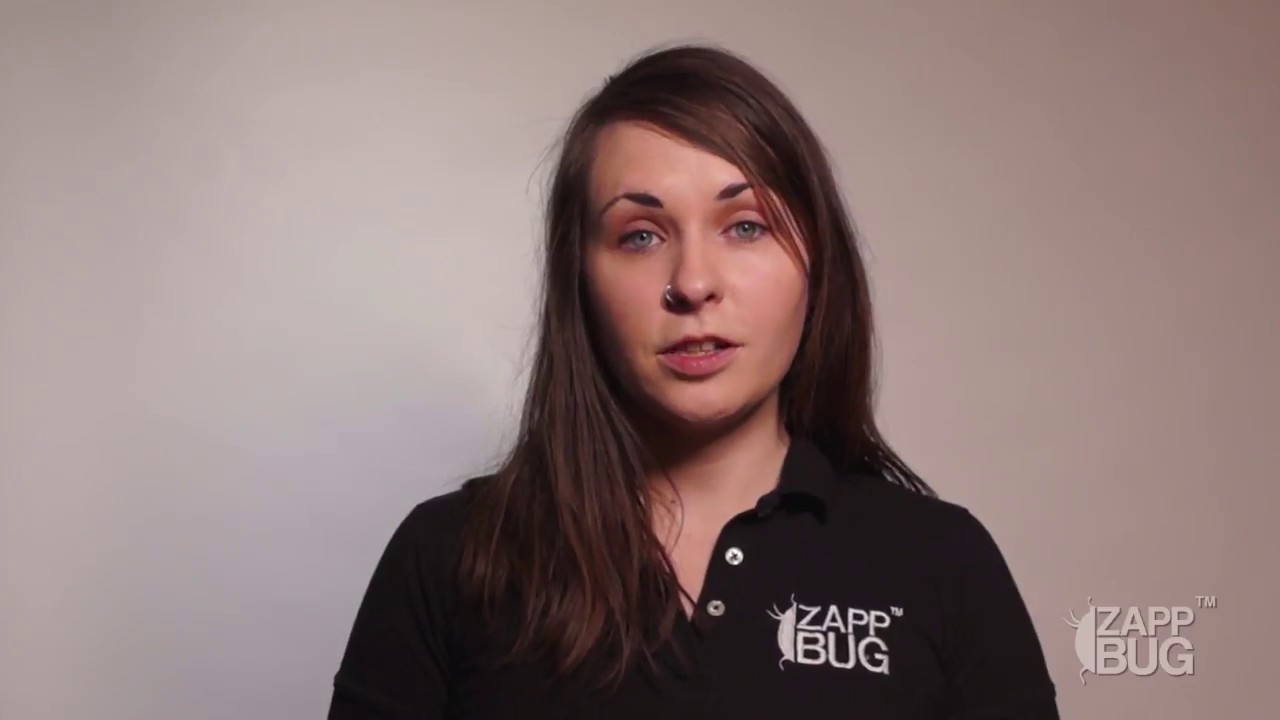 How to wash clothes with bed bugs