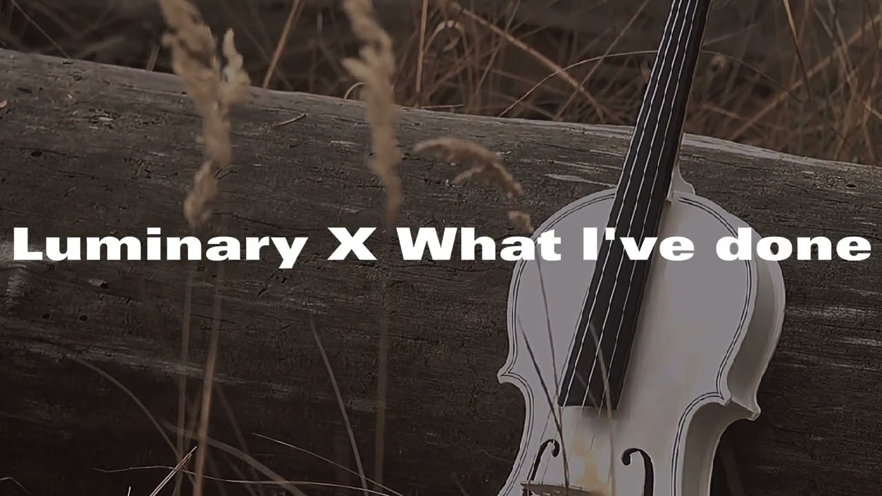 Luminary X What I've done | Electro Flip |